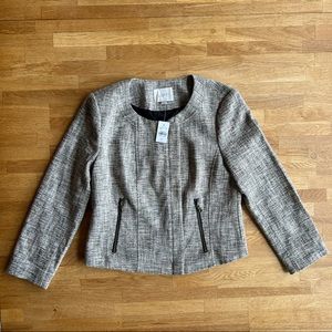 Ann Taylor LOFT Women’s Grey Tweed Moto Jacket Size 6 Hidden Zipper